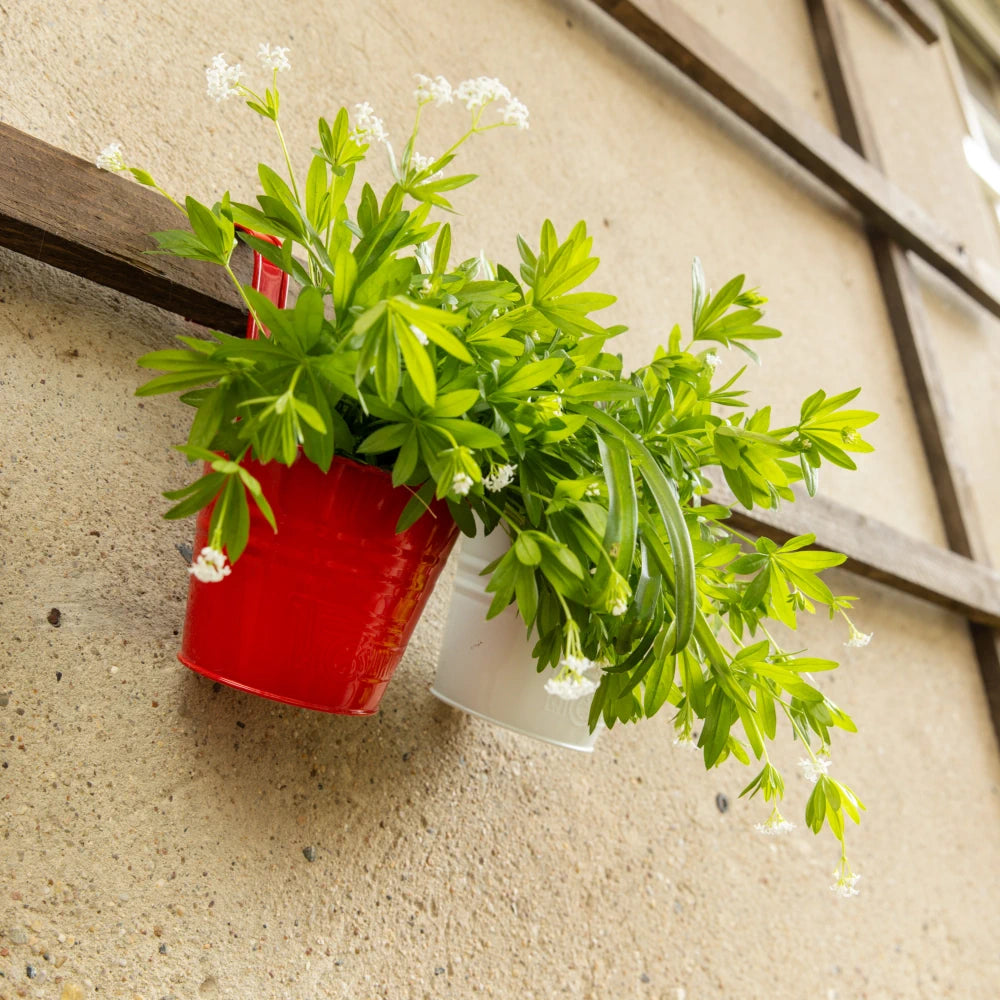 Blumentopf 2er Set – Union Zeughaus