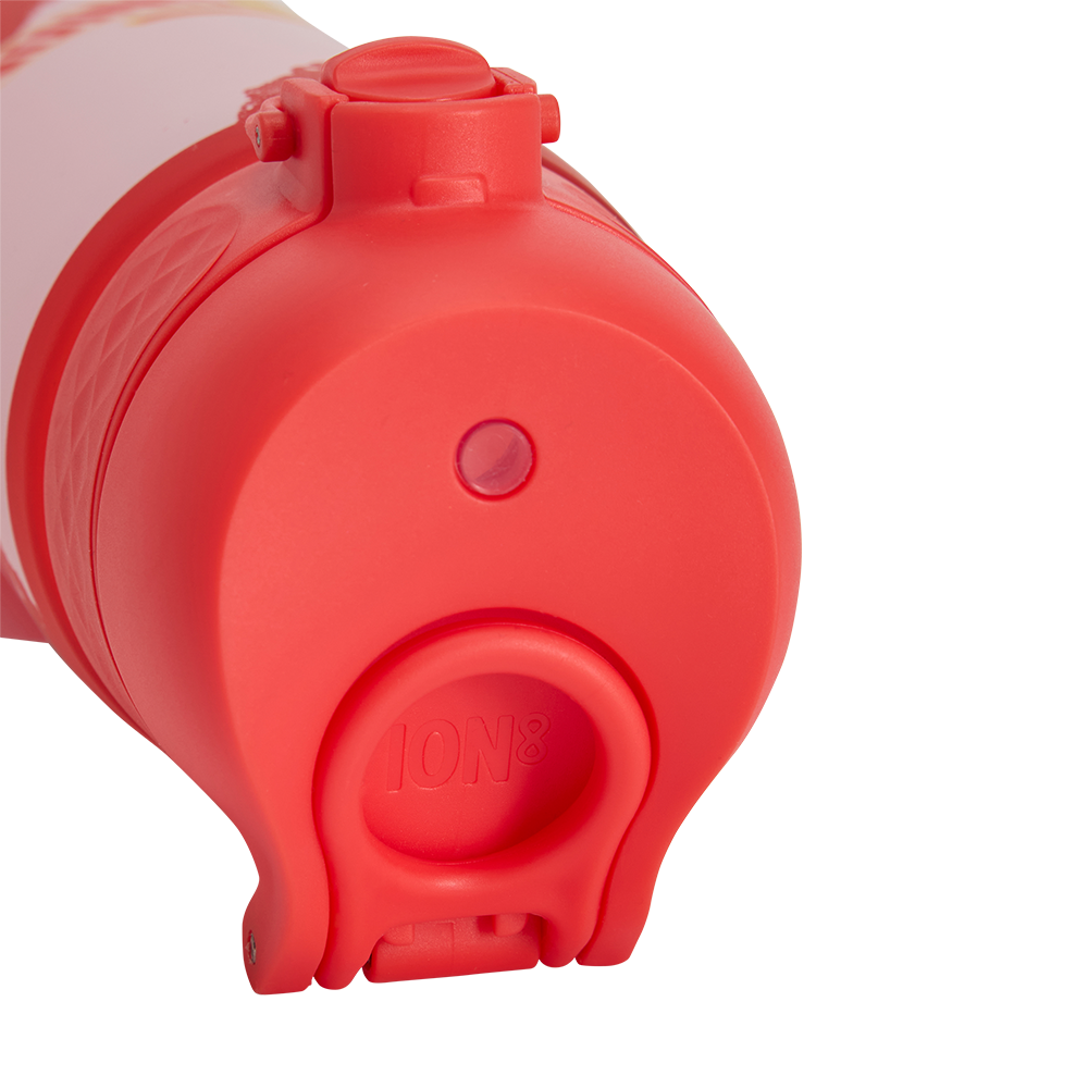 Trinkflasche Logo - 1 L