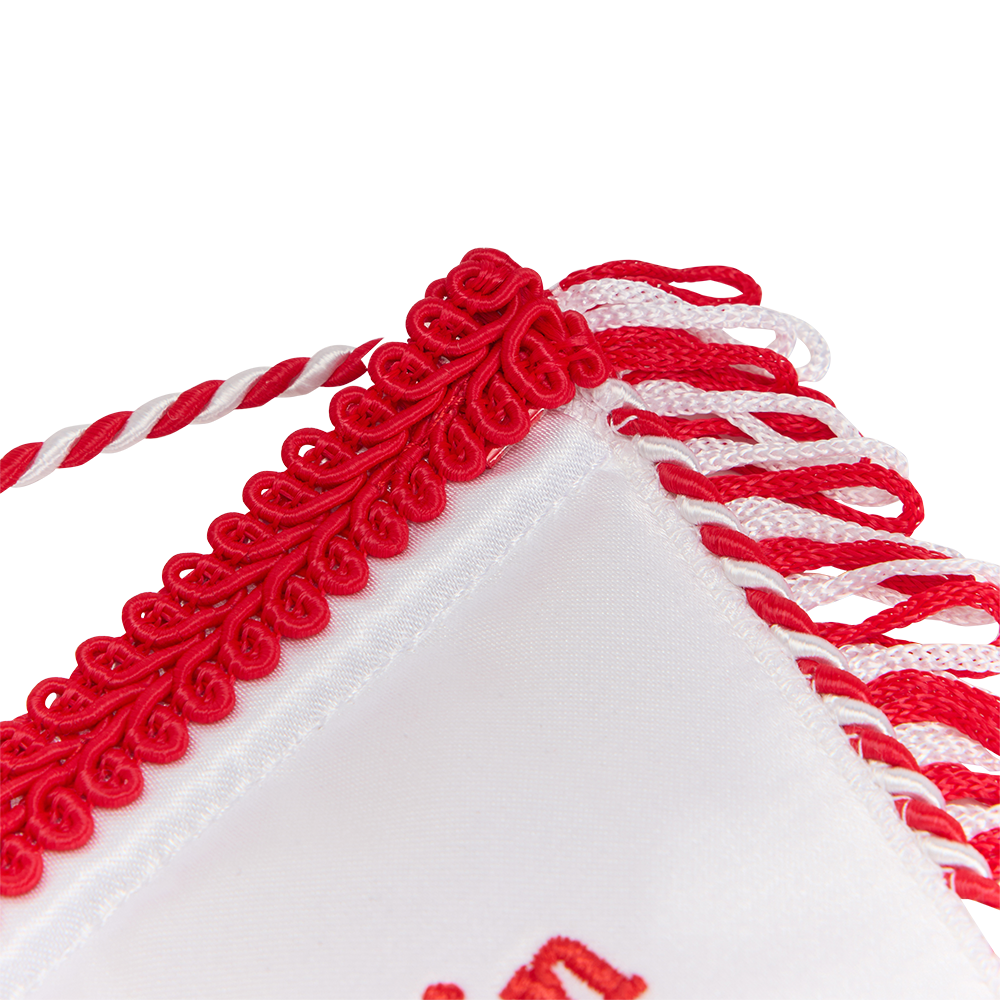 Wimpel - 60 Jahre 1. FC Union Berlin