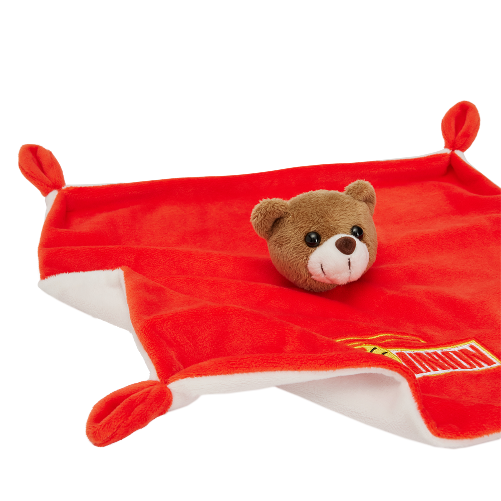 Teddy comfort blanket