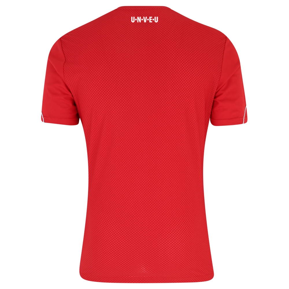 adidas Trainingsshirt - rot Team 23/24