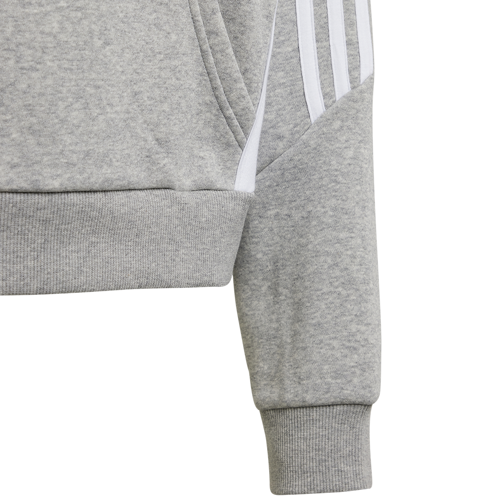 adidas Frauen Hoodie - grau 24/25