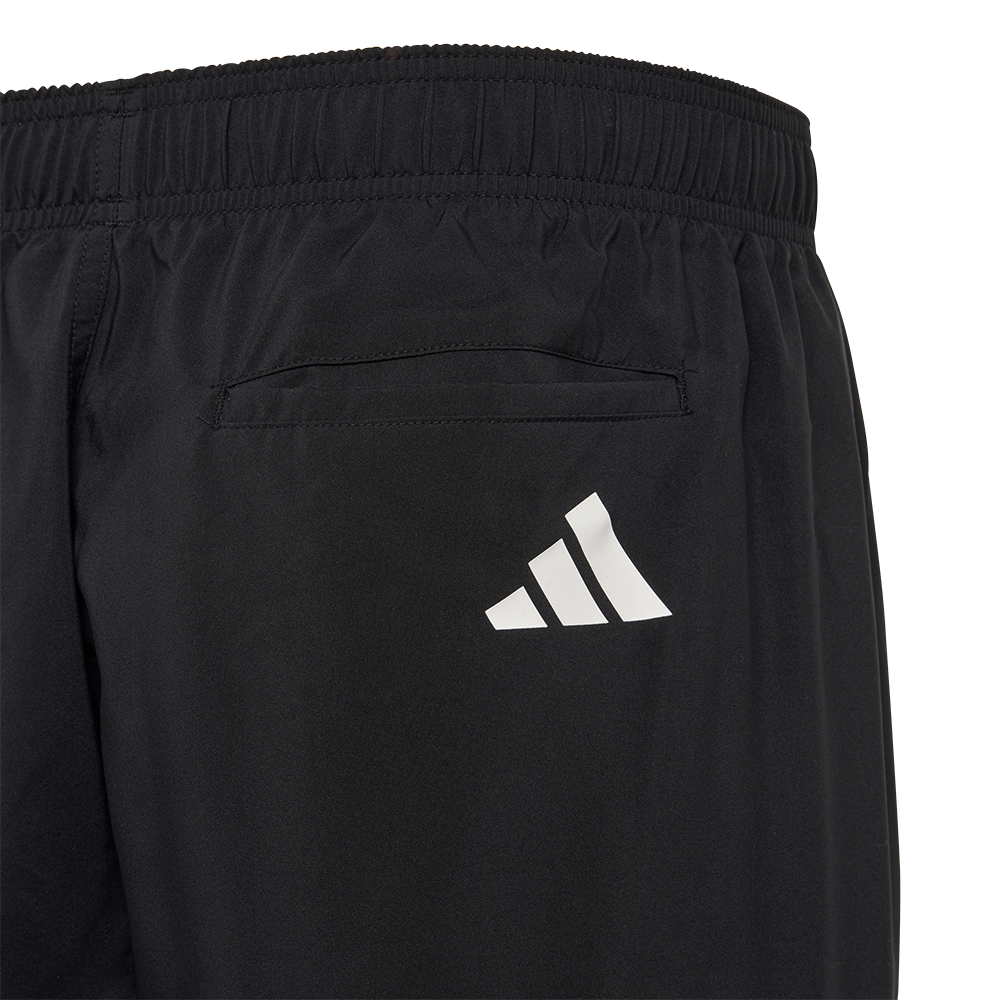 adidas swim shorts
