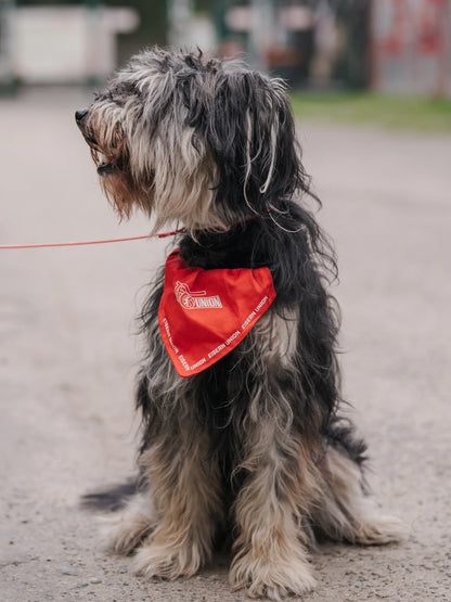 Hundehalstuch - rot