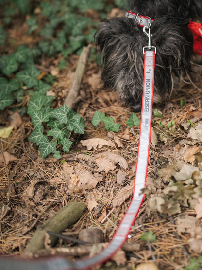 Hundeleine Eisern Union