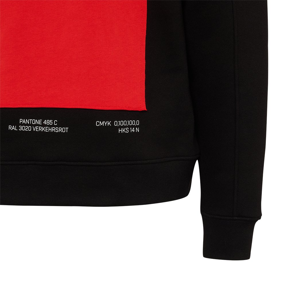 Kapuzenpullover Vereinsfarben