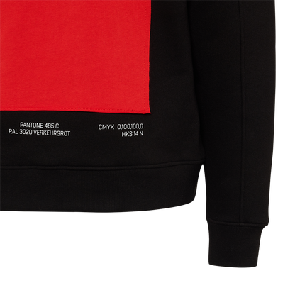 Kapuzenpullover Vereinsfarben