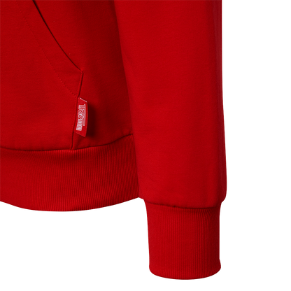 Kapuzenpullover Eisern