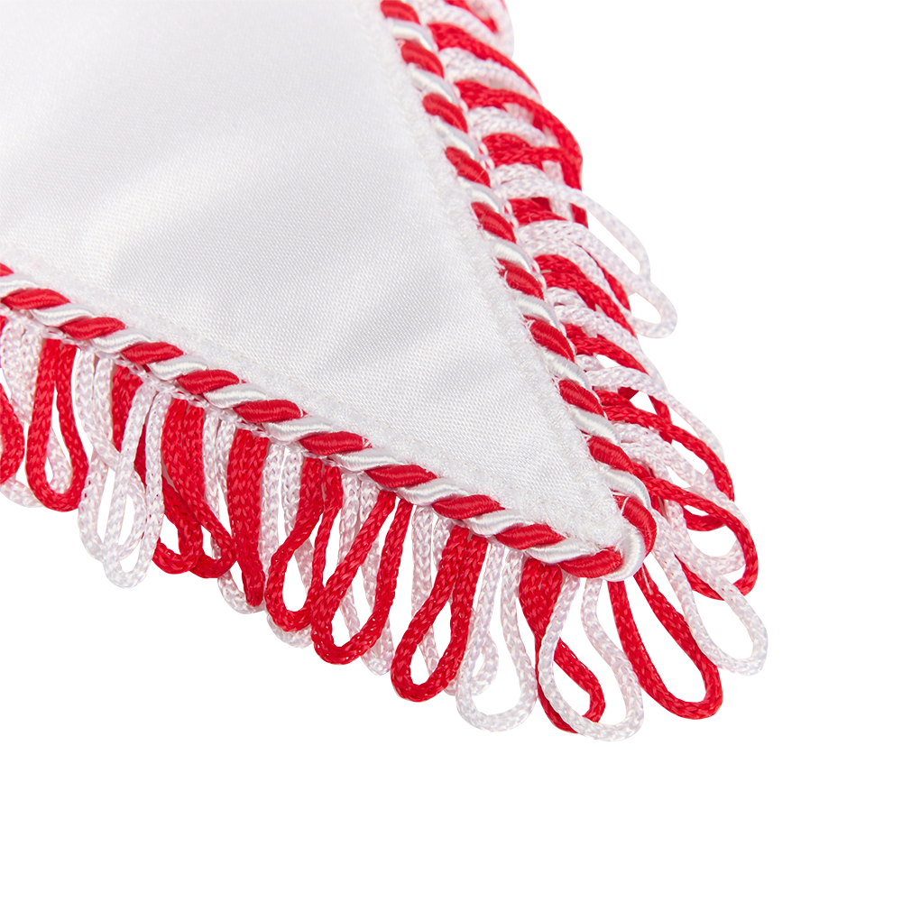 Wimpel - 60 Jahre 1. FC Union Berlin