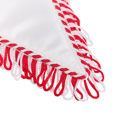 Wimpel - 60 Jahre 1. FC Union Berlin