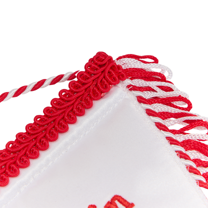 Wimpel - 60 Jahre 1. FC Union Berlin