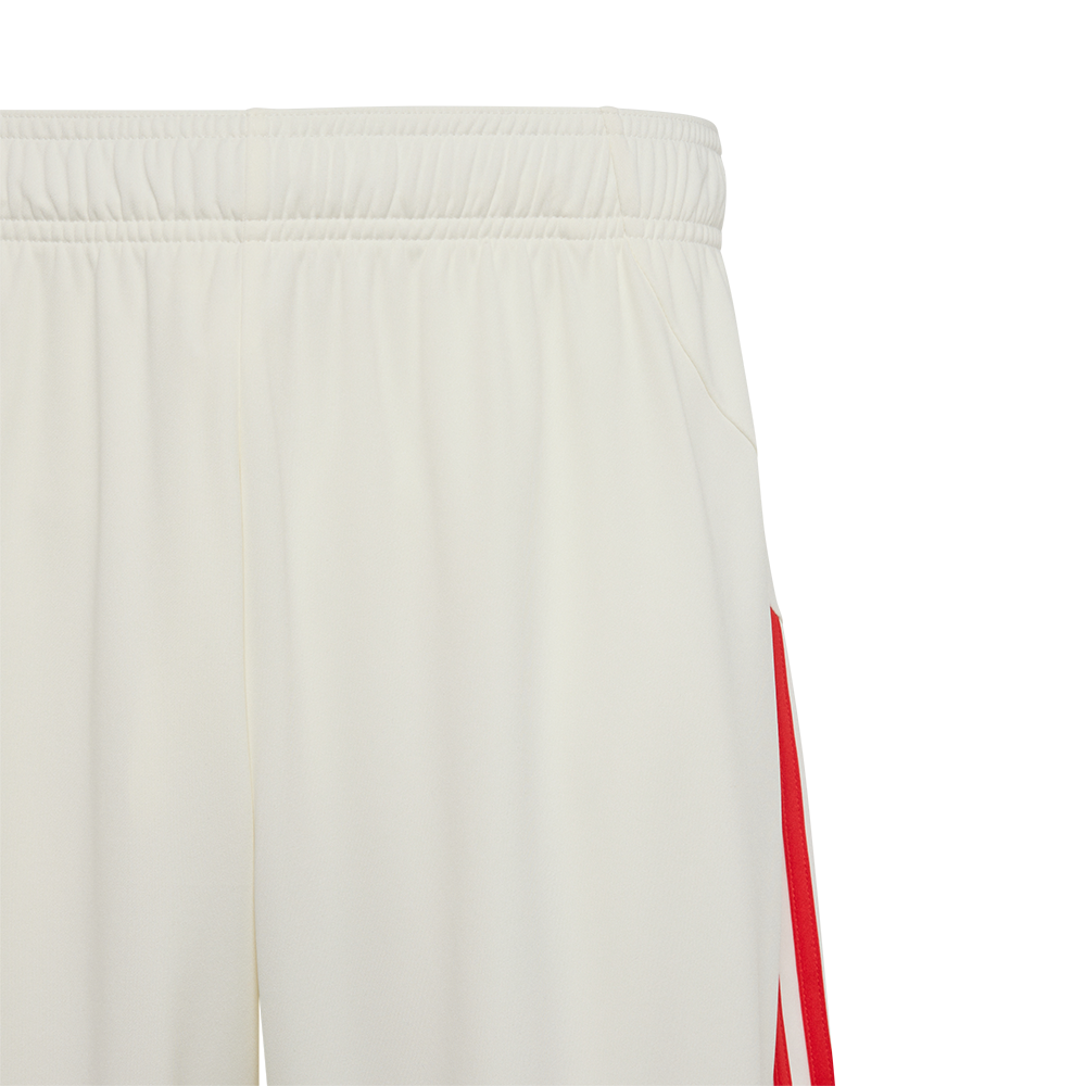 Sondertrikot Hose - 60 Jahre