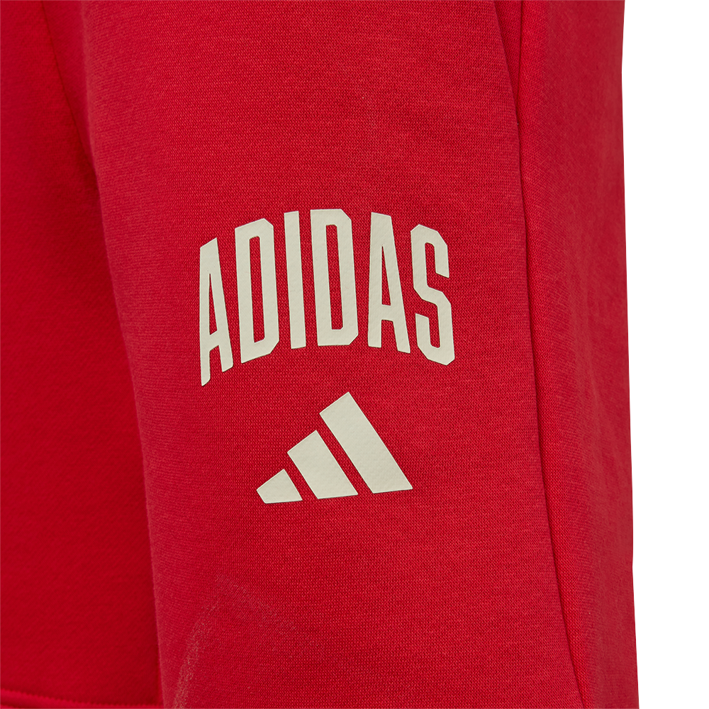 adidas Pantalón de chándal infantil Union