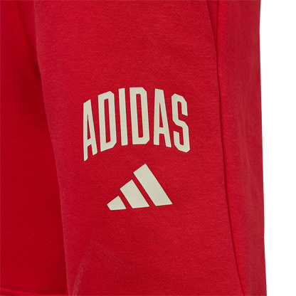 adidas Pantalón de chándal infantil Union