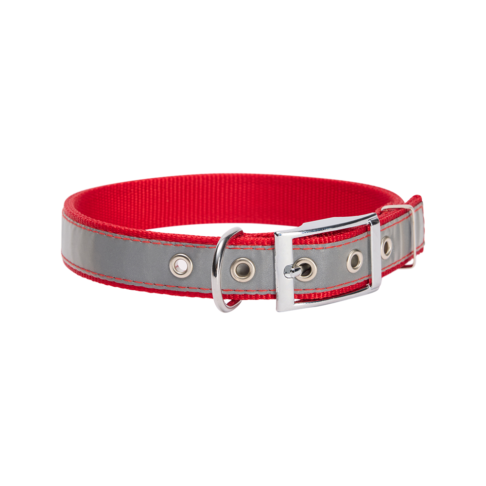 Hundehalsband Eisern Union