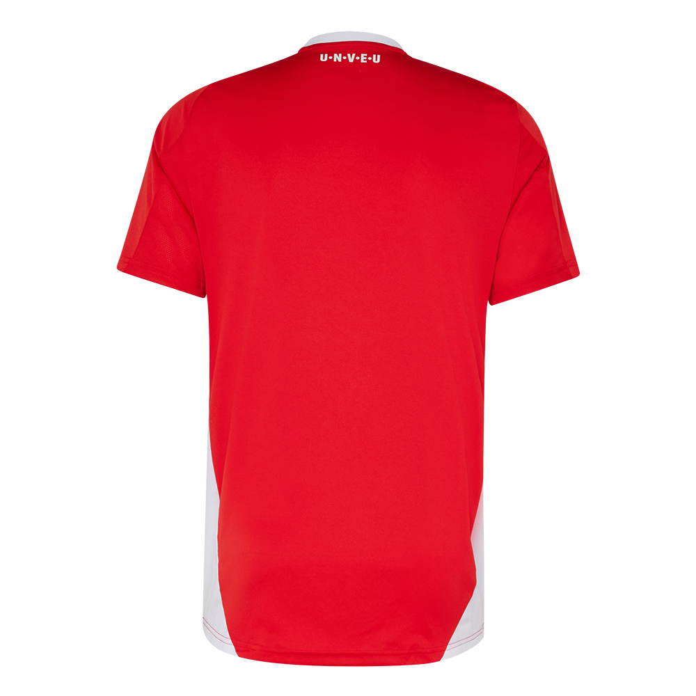 Adidas training shirt - red Team 24/25