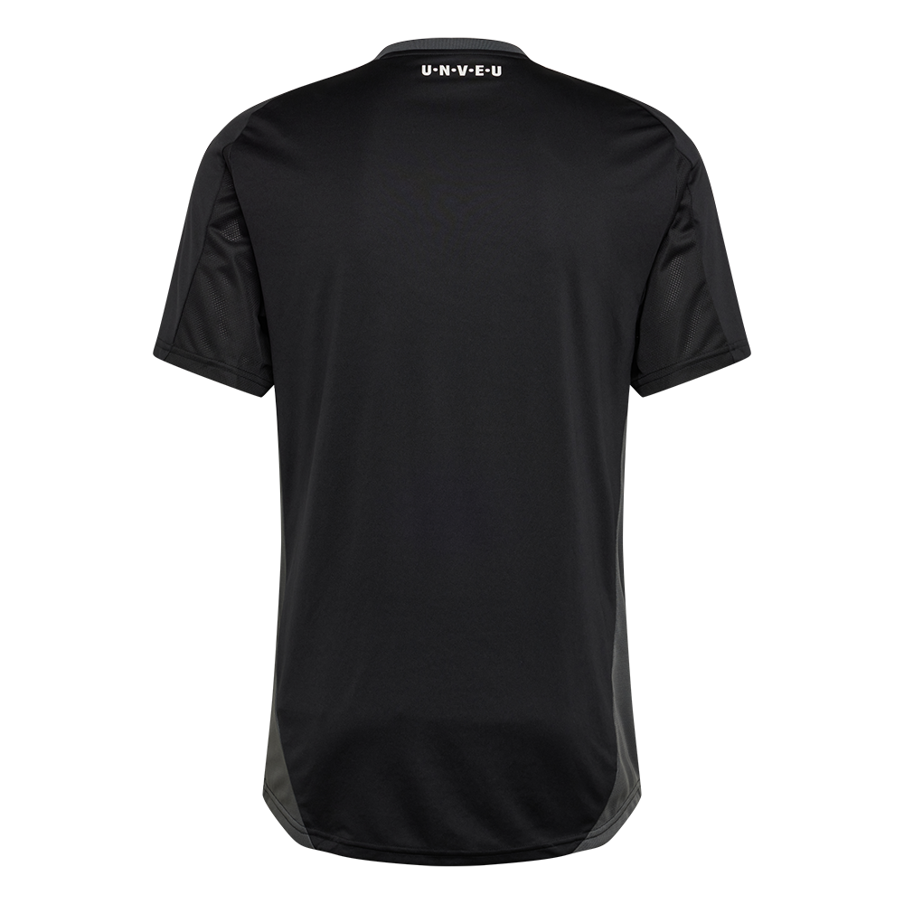 Adidas training shirt - black Team 24/25