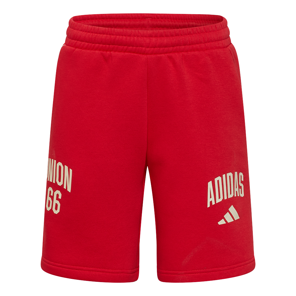 adidas Pantalón de chándal infantil Union