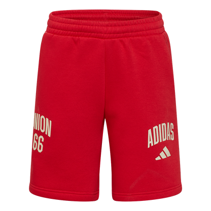 adidas Pantalón de chándal infantil Union