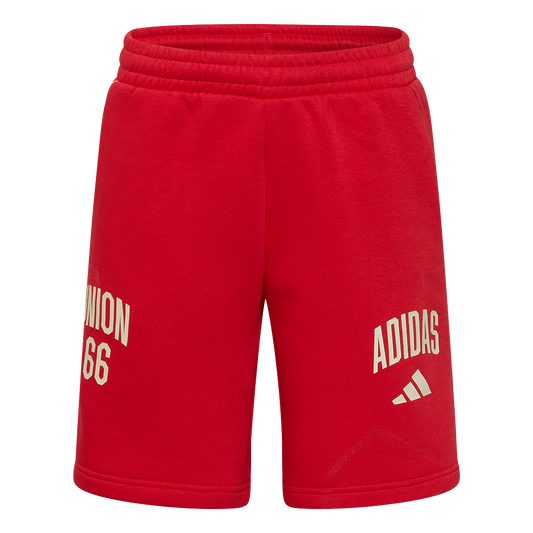 adidas Pantalón de chándal infantil Union