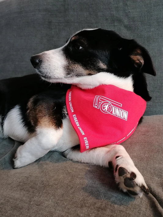 Hundehalstuch - rot
